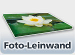 Foto-Leinwand