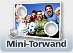 Mini-Torwand