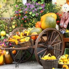 Herbstdeko – Anregungen und Tipps zum selber machen Herbstdeko – Anregungen und Tipps zum selber machen