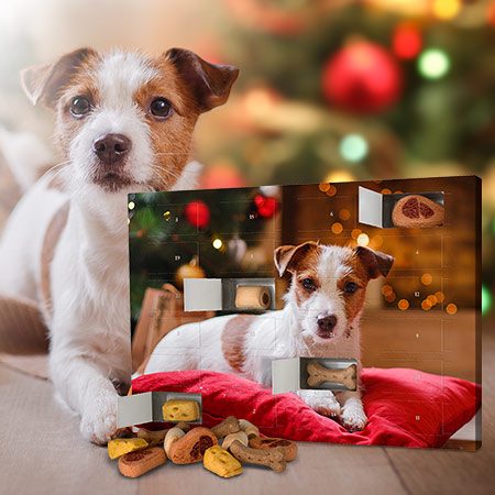 Adventskalender für Hunde 2020 10 Foto-Hunde-Adventskalender