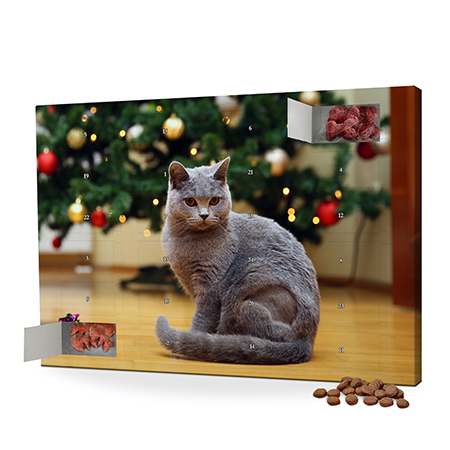 Foto-Katzen-Adventskalender