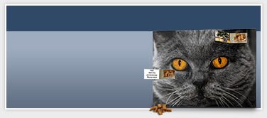 Katzen-Adventskalender Katzen-Adventskalender