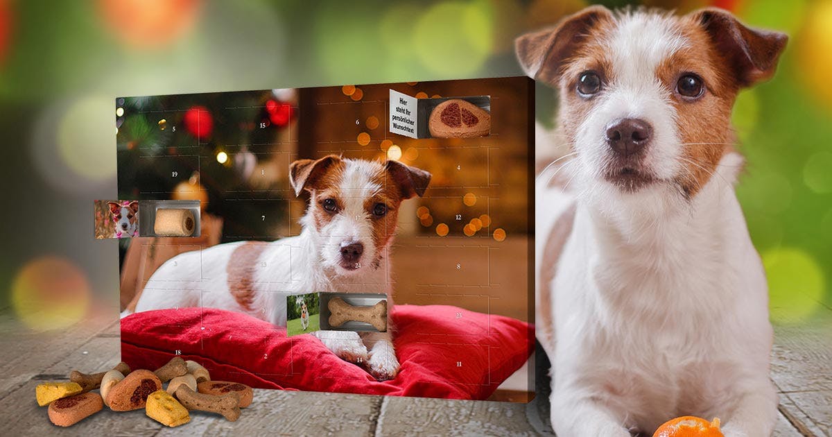 Adventskalender für Hunde mit Foto