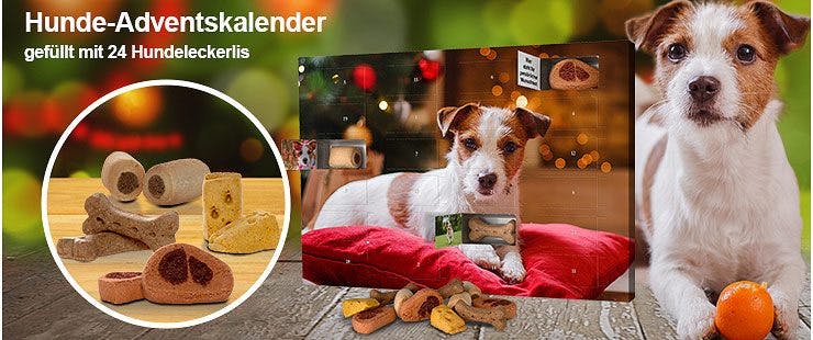 Adventskalender Fur Hunde Mit Foto Printplanet