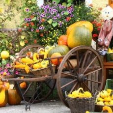 Herbstdeko – Anregungen und Tipps zum selber machen Herbstdeko – Anregungen und Tipps zum selber machen