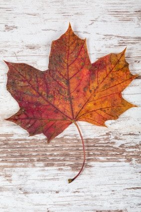 Herbstliche Platzkarten selbst gestalten