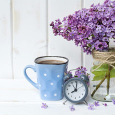 Wann blühen welche Blumen? Wann blühen welche Blumen?