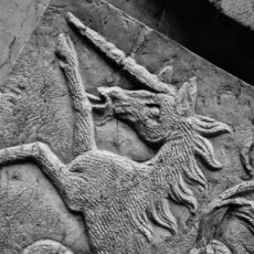 Das Einhorn: Die Herkunft und Bedeutung des Fabelwesens Das Einhorn: Die Herkunft und Bedeutung des Fabelwesens
